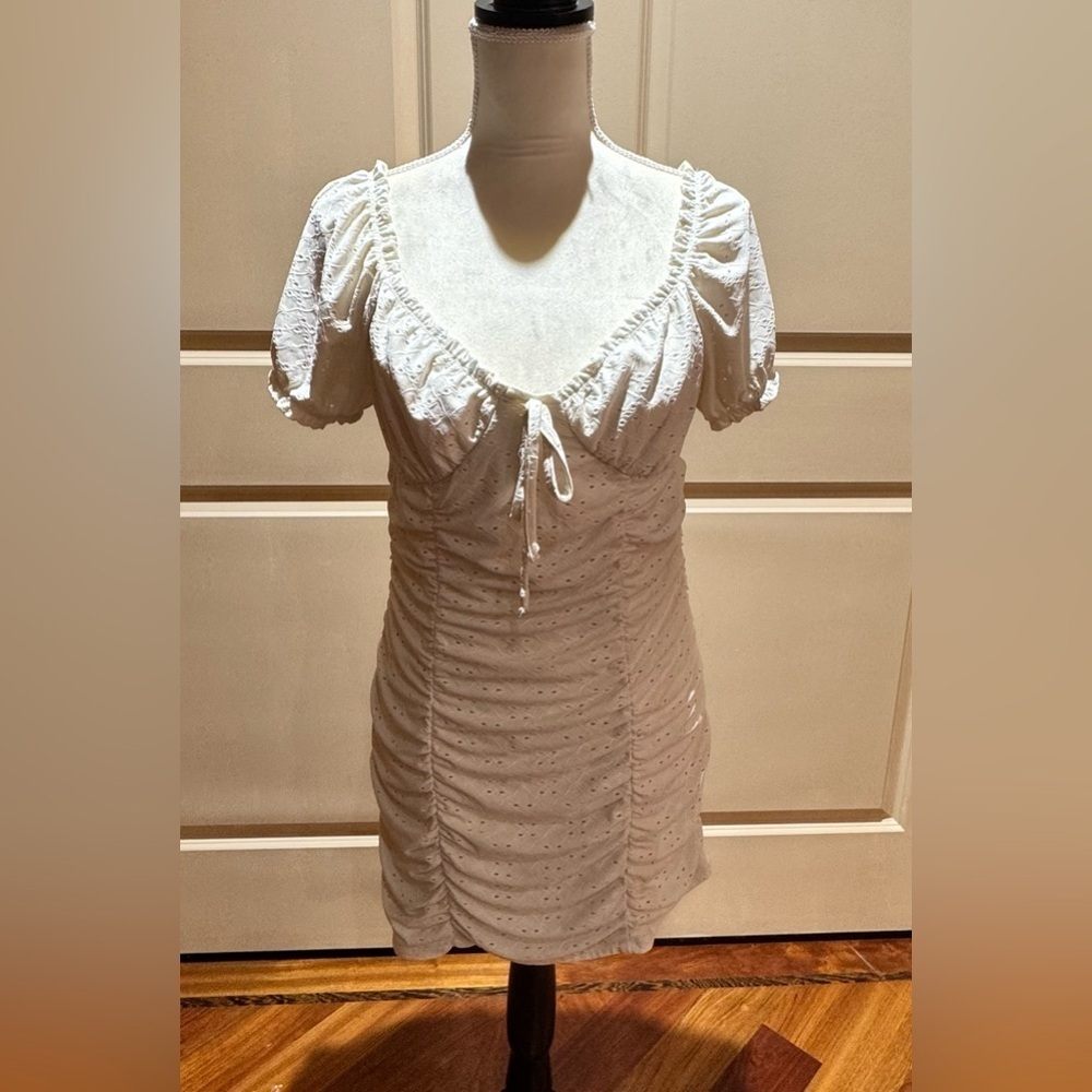 Morgan & Company Women's Dresses